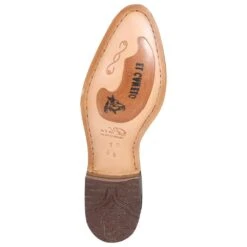 EL CANELO Men's Ankle Boot 228 9 EL CANELO Men's Ankle Boot 228 -Western Fashion Shoes ID000228 0814 2048x 70f12a40 a233 49df af9f 8de0b0e7a622